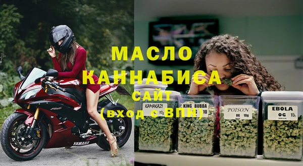 дмт Дмитров