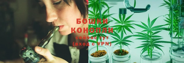 дмт Дмитров