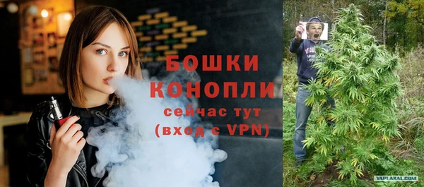 дмт Дмитров