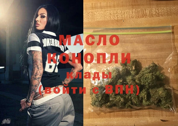 дмт Дмитров