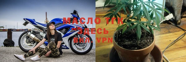дмт Дмитров